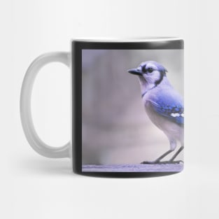 Blue Jay Day Mug